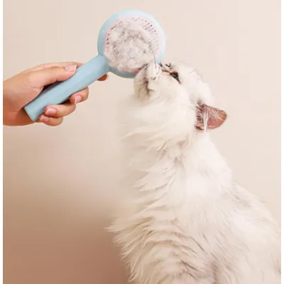 HausPets Brosse Toilettage Chat Chien Bleu Anti Poils HausPets Brosse Toilettage Chat Chien Bleu Anti Poils