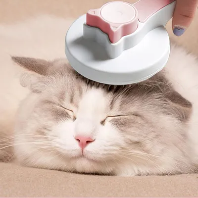 HausPets Brosse Autonettoyante Chat Rose Poils Courts Longs HausPets Brosse Autonettoyante Chat Rose Poils Courts Longs