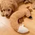 HausPets Jouet Chat Renard Peluche Froissement Dentition