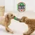 HausPets Jouet Chien Peluche Bouteille Verte Couineur