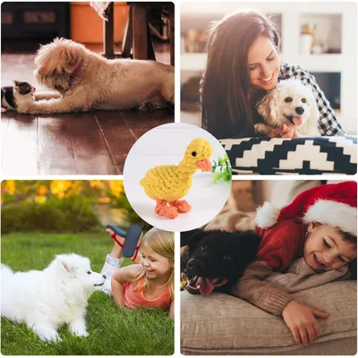 HausPets Jouet Chien Coton Canard à Mâcher Lavable Lot de 2