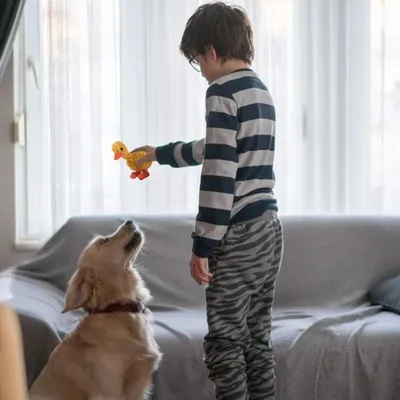 HausPets Hundespielzeug Baumwolle Ente Kauspielzeug 2er Set