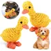 HausPets Hundespielzeug Baumwolle Ente Kauspielzeug 2er Set