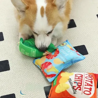 HausPets Quietschspielzeug Chipstüte Plüsch Orange