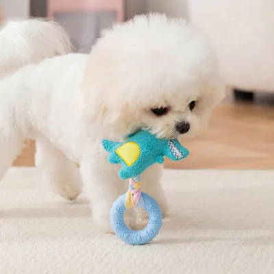 HausPets Hundespielzeug Plüsch Quietschend Robust 19cm