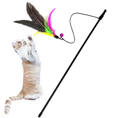 HausPets Canne Pêche Chat Plumes Cloche Rétractable HausPets Canne Pêche Chat Plumes Cloche Rétractable