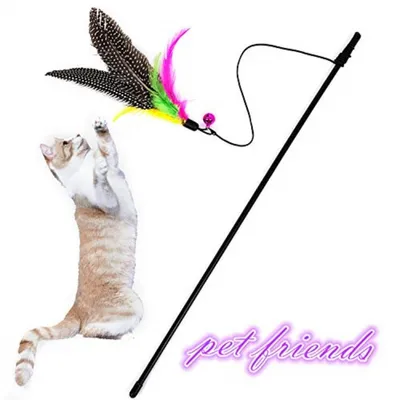 HausPets Canne Pêche Chat Plumes Cloche Rétractable HausPets Canne Pêche Chat Plumes Cloche Rétractable