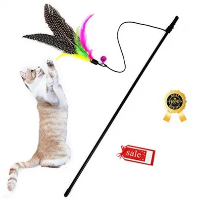 HausPets Canne Pêche Chat Plumes Cloche Rétractable HausPets Canne Pêche Chat Plumes Cloche Rétractable