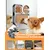 HausPets Tapis Lécher Chien Inox Anti-Glouton Ventouse Antistress