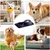 HausPets Bol Léchouille Chien 2en1 Silicone Anti-étouffement 500ml