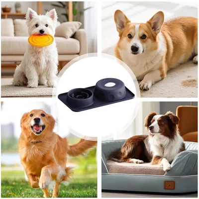 HausPets Bol Léchouille Chien 2en1 Silicone Anti-étouffement 500ml