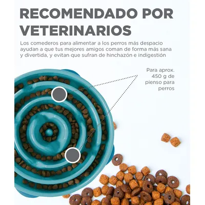 HausPets Gamelle Lente Chien Anti-Ballonnement Labyrinthe Turquoise L