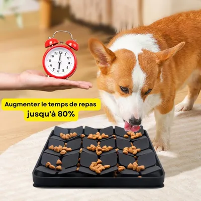 HausPets Tapis Lécher Chien Silicone Noir Anti-Glouton Antidérapant