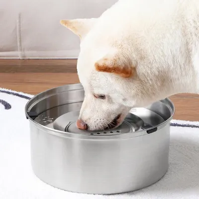 HausPets Gamelle Chien Flottante 3L Acier Inoxydable Antidérapant