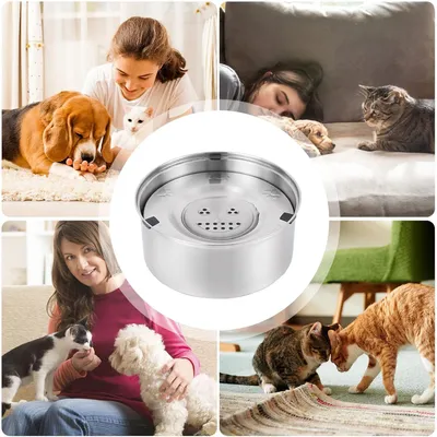 HausPets Gamelle Chien Flottante 3L Acier Inoxydable Antidérapant