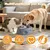 HausPets Gamelle Léchage Chien ABS Grise Anti-Ballonnement Ventouse