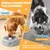 HausPets Gamelle Léchage Chien ABS Grise Anti-Ballonnement Ventouse