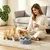 HausPets Gamelle Léchage Chien ABS Grise Anti-Ballonnement Ventouse