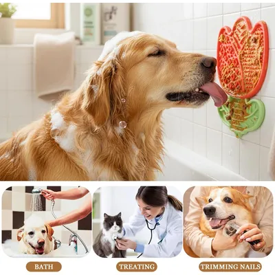 HausPets Tapis Lécher Chien Chat Silicone Rouge Ventouse Bain