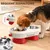 HausPets Gamelle Surélevée Personnalisée Acier Inoxydable 350ml x2