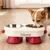 HausPets Gamelle Surélevée Personnalisée Acier Inoxydable 350ml x2