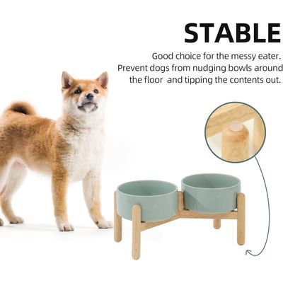 HausPets Gamelle Surélevée Chien Céramique Vert Clair Double Bol