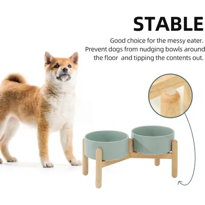 HausPets Gamelle Surélevée Chien Céramique Vert Clair Double Bol