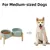 HausPets Gamelle Surélevée Chien Céramique Vert Clair Double Bol