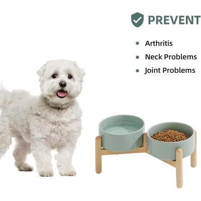HausPets Gamelle Surélevée Chien Céramique Vert Clair Double Bol