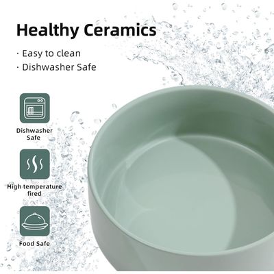 HausPets Comedero de cerámica elevado para perros, verde claro, doble