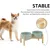 HausPets Comedero de cerámica elevado para perros, verde claro, doble