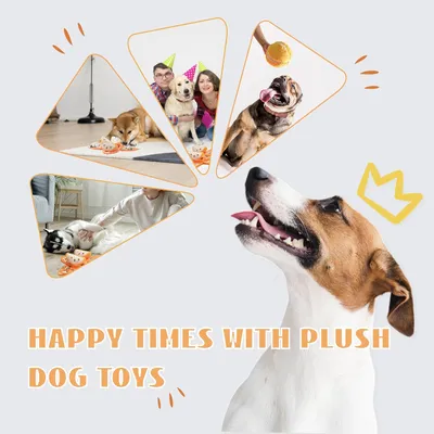 HausPets Jouet Chien Orange 5en1 Interactif Cache-Cache Couineur