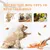 HausPets Jouet Chien Orange 5en1 Interactif Cache-Cache Couineur