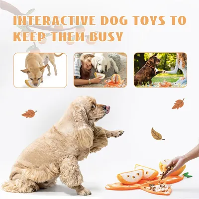 HausPets Jouet Chien Orange 5en1 Interactif Cache-Cache Couineur