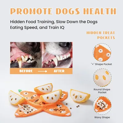 HausPets Jouet Chien Orange 5en1 Interactif Cache-Cache Couineur
