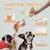 HausPets Jouet Chien Orange 5en1 Interactif Cache-Cache Couineur