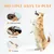 HausPets Jouet Chien Orange 5en1 Interactif Cache-Cache Couineur