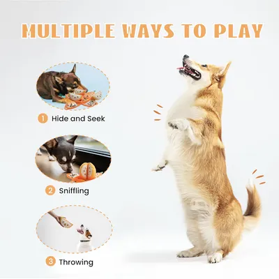 HausPets Jouet Chien Orange 5en1 Interactif Cache-Cache Couineur
