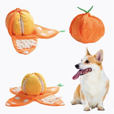 HausPets Hundespielzeug Orange 5in1 Interaktiv Schnüffeln Quietschend