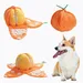 HausPets Jouet Chien Orange 5en1 Interactif Cache-Cache Couineur