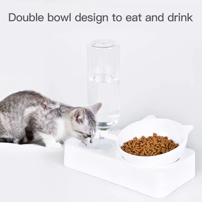 HausPets Chat Inclinable 15° Automatique Anti-Vomissements 590ml