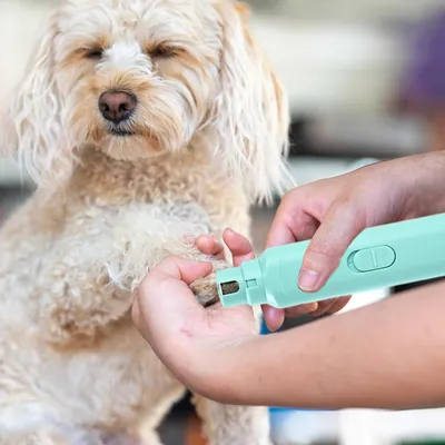 HausPets Lime Ongles Électrique Chien Pile Portable HausPets Lime Ongles Électrique Chien Pile Portable