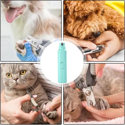 HausPets Lime Ongles Électrique Chien Pile Portable HausPets Lime Ongles Électrique Chien Pile Portable