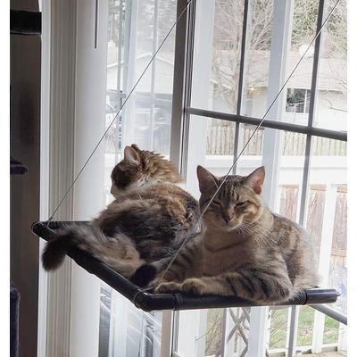 HausPets Hängematte Katze Fenster Saugnäpfe 20kg Schwarz