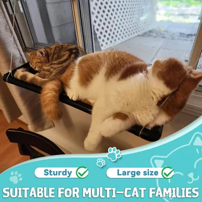 HausPets Hängematte Katze Fenster Saugnäpfe 20kg Schwarz