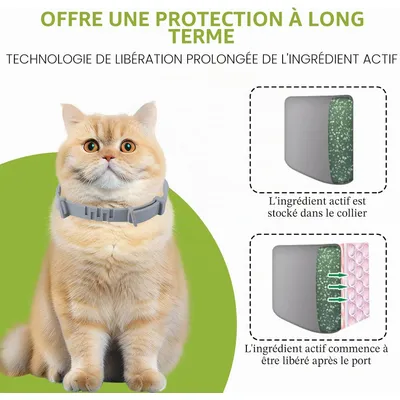 HausPets Katzenhalsband Ätherische Öle 16 Monate 2er Set