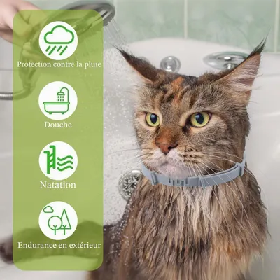 HausPets Katzenhalsband Ätherische Öle 16 Monate 2er Set