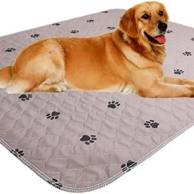 ZooVenture wasserdichte Hundetrainingsmatten 4-lagig 90x120 cm ZooVenture wasserdichte Hundetrainingsmatten 4-lagig 90x120 cm