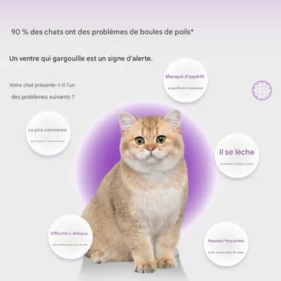 Haarblasen-Creme 2 in 1 für Katzen 120g Haarblasen-Creme 2 in 1 für Katzen 120g