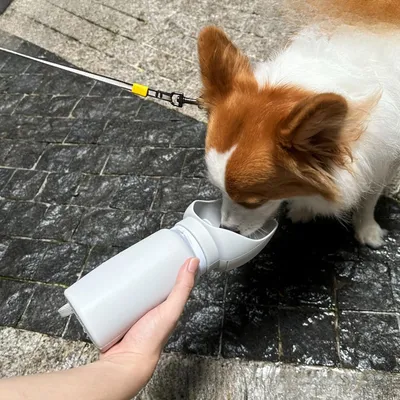 HausPets Faltbare Hunde-Wasserflasche HausPets Faltbare Hunde-Wasserflasche